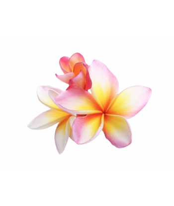 Fondant senteur Frangipanier.