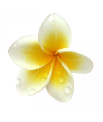 Fondant senteur Monoï.