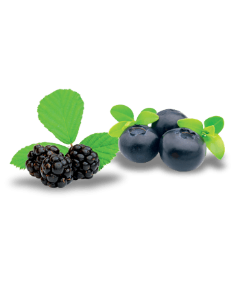 Fondant senteur Mûre Myrtille.