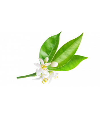 Fondant senteur Néroli.