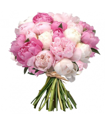 Fondant senteur Pivoine.