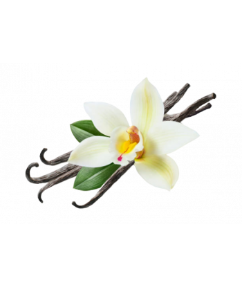 Fondant senteur Vanille.