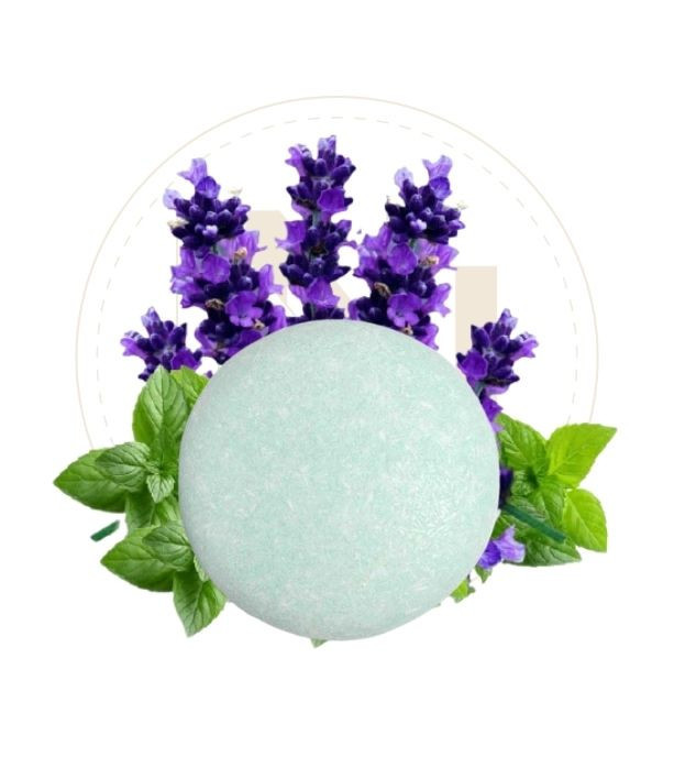 Shampooing solide pour Hommes à la Lavande.