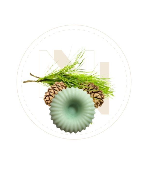 Fondant senteur Cèdre du Liban.