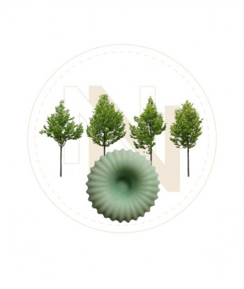 Fondant senteur Balade en Forêt.