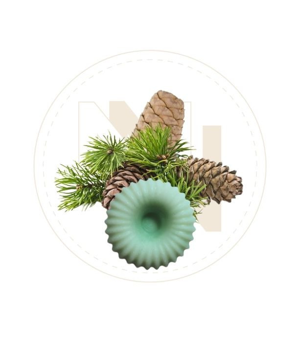 Fondant senteur Pin des Landes.